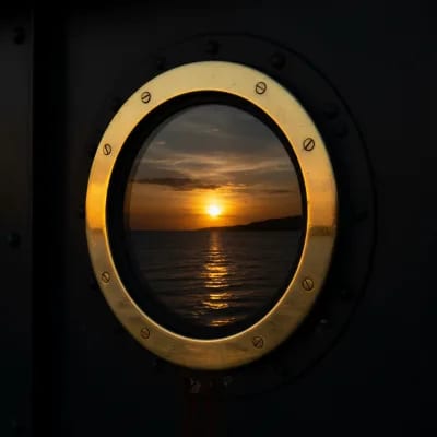 @catamaran-protector