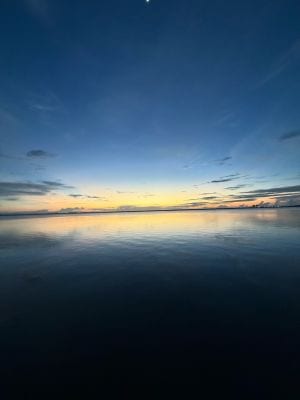 @seasalt-mentor