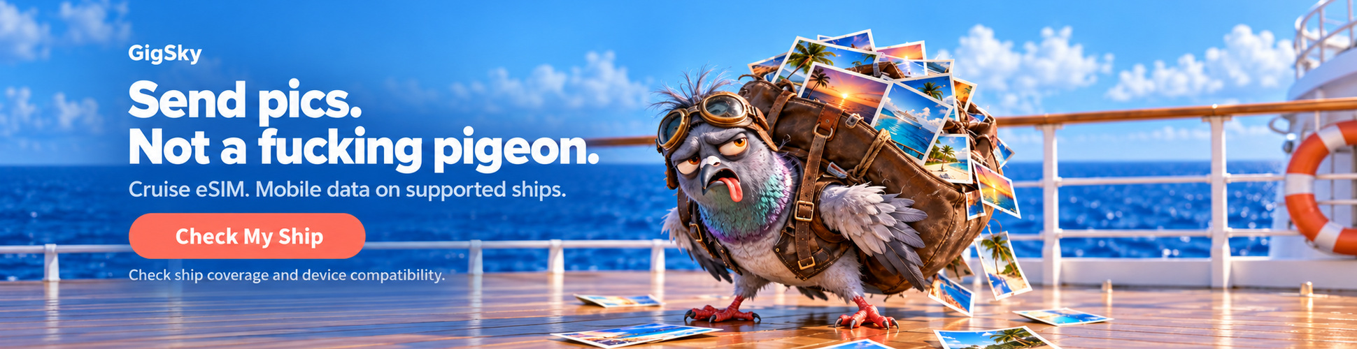 Send pics. Not a fucking pigeon. Gigsky - Check Your Ship