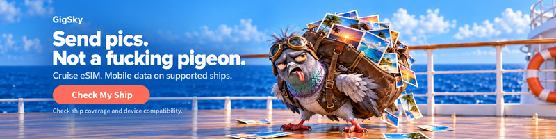 Send pics. Not a fucking pigeon. Gigsky - Check Your Ship