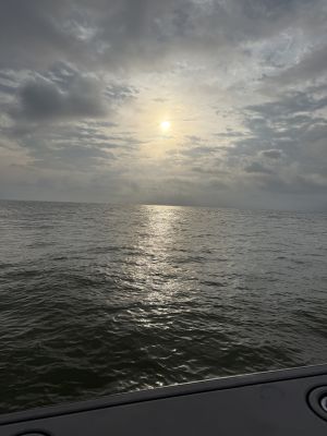 harbor-opulent