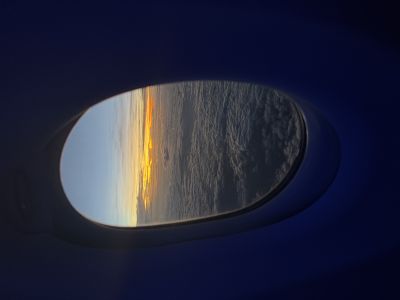 dolphin-luminous